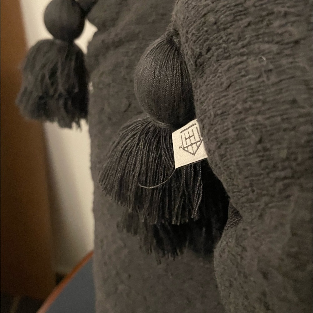 Two decorative pillow with tassels design